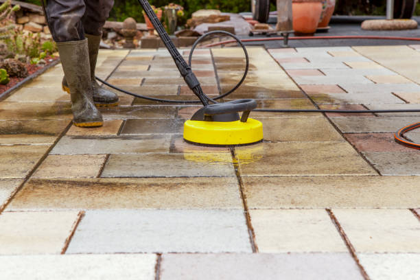 Best Solar Panel Cleaning  in Olivehurst, CA